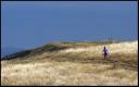 Jogger � Flickr.com