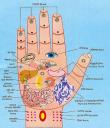 Punkte der inneren Hand. nediselabany © Flickr