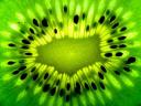 Kiwi © broadcasterTR/Flickr