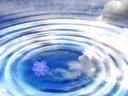 Im Wasser zur Musik schweben. aussiegall © Flickr