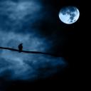Nacht. *L*u*z*a* © Flickr
