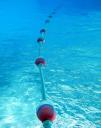 Auch Schwimmen galt als Breitensport. jurvetson©Flickr