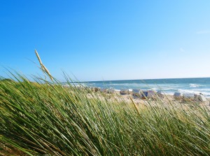 Strand und Dünen